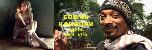 крисы Майский
