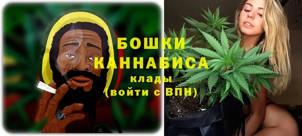 крисы Майский