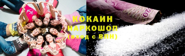 крисы Майский
